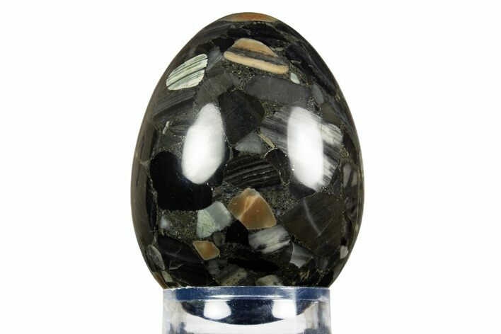 Polished Black Brecciated Chert Egg - Australia #308870